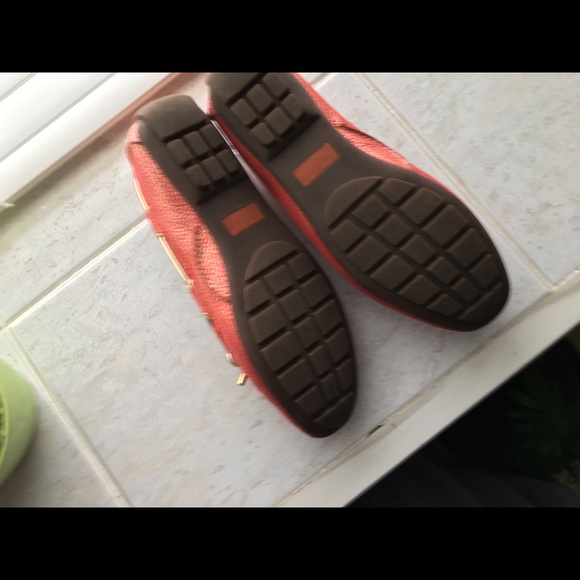 Shows - Picture 6 of 8